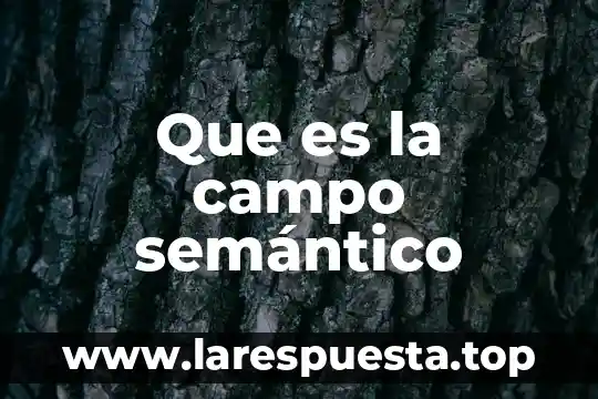 Que es el desarrollo semantico 8 Que es la campo semántico