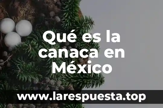 Qué es la canaca en México