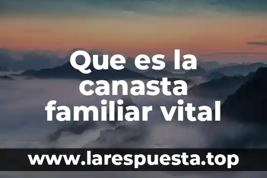 Que es la canasta basica de los alimentos en mexico 6 Que es la canasta familiar vital