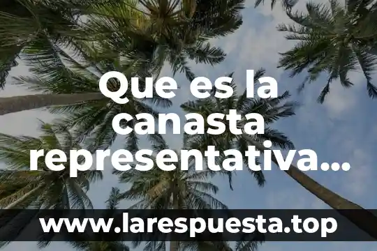 Que es la canasta basica de los alimentos en mexico 3 Que es la canasta representativa de bienes y servicios