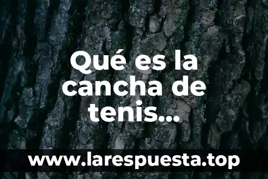 Qué es la cancha de tenis organizador gráfico