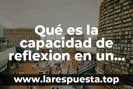 Que es objeto de pulsion 5 Qué es la capacidad de reflexion en un objeto