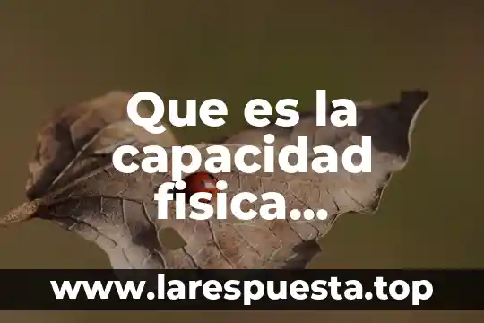 Que es el recorrido total en física 5 Que es la capacidad fisica coordinativa