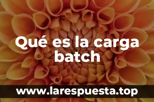 Qué es la carga batch
