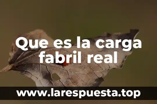 Que es buffer de carga en electroforesis y tipos 6 Que es la carga fabril real