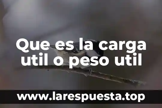 Que es carga electrica positiva yahoo 7 Que es la carga util o peso util