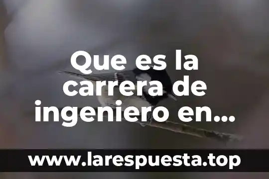 Que es un administrador de redes computacionales 8 Que es la carrera de ingeniero en sistemas computacionales