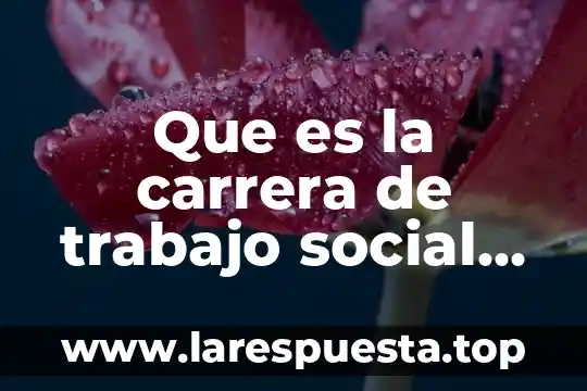 Que es la carrera de administracion de recursos humanos 3 Que es la carrera de trabajo social yahoo