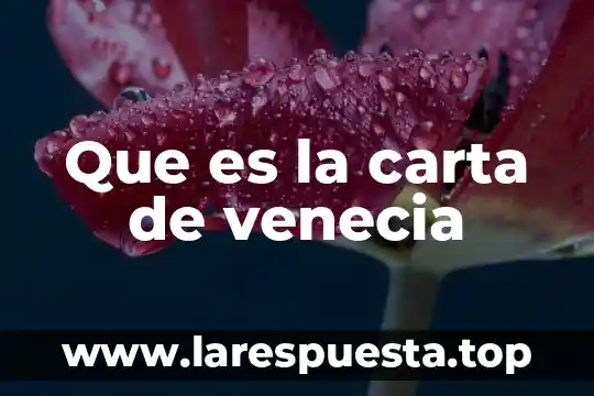 Que es la carta de venecia