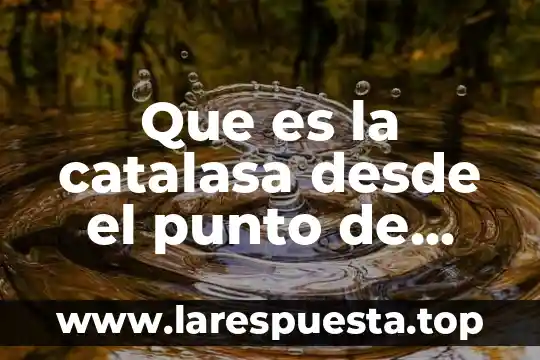 Qué es el ser humano punto de vista filosófico 8 Que es la catalasa desde el punto de vista quimico