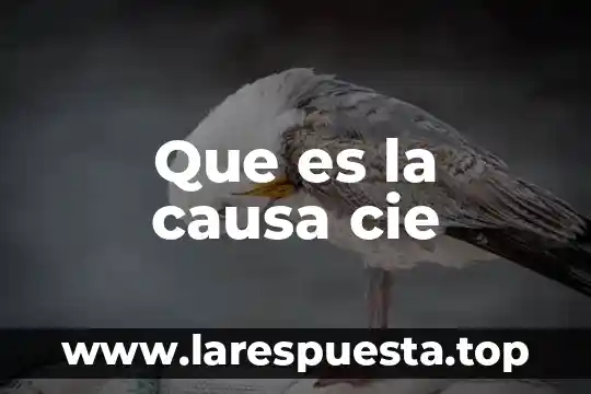 Que es lo que causa alergia a los digestivos 5 Que es la causa cie
