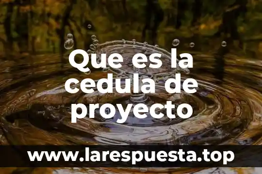 Que es la cedula de proyecto
