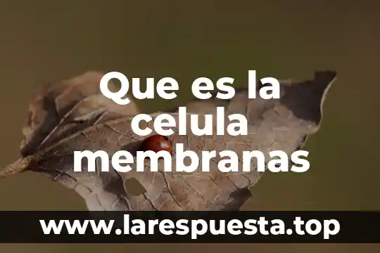 Que es la celula membranas