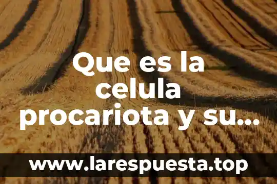 Que es la celula procariota y su estructura basica