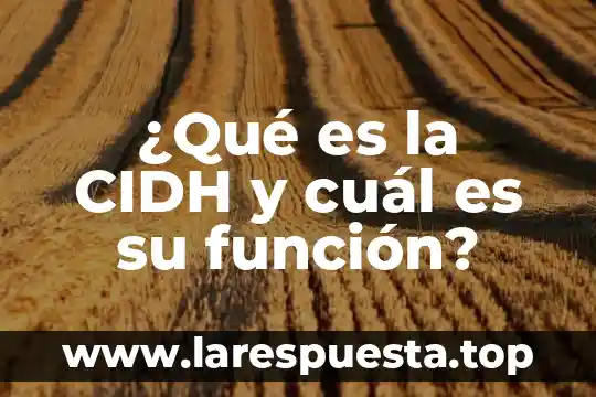 ¿Qué es la CIDH y cuál es su función?