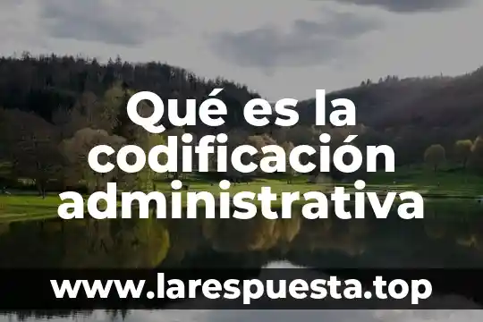 Que es el alcance en una auditoria administrativa 5 Qué es la codificación administrativa
