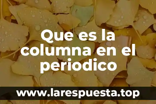 Que es columna en genero periodistico 8 Que es la columna en el periodico