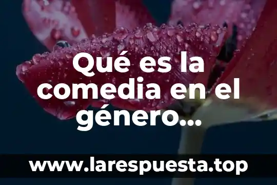 Que es un ensayo literario y su extension generalmente 5 Qué es la comedia en el género literario