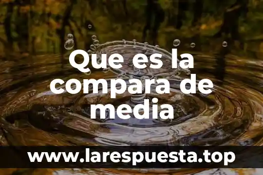 Que es singular y plural para niños de primer grado 3 Que es la compara de media
