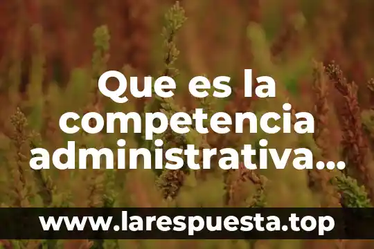 Que es desarrollar una competencia 3 Que es la competencia administrativa generica