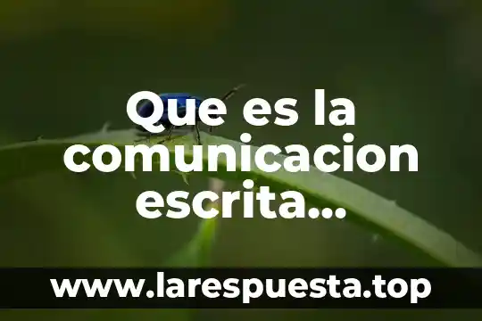 Que es la comunicacion escrita monografia