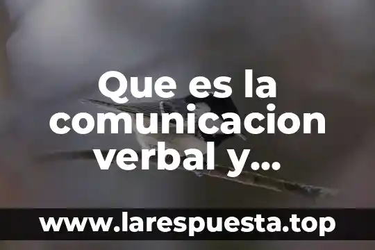 Que es la comunicacion verbal y ejemplos