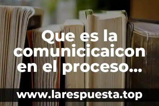 Que es un proceso alterno de reorganizacion 3 Que es la comunicicaicon en el proceso de direccion