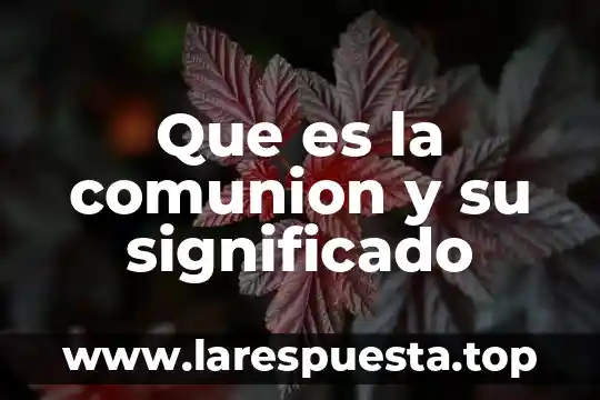 Que es la comunion y su significado