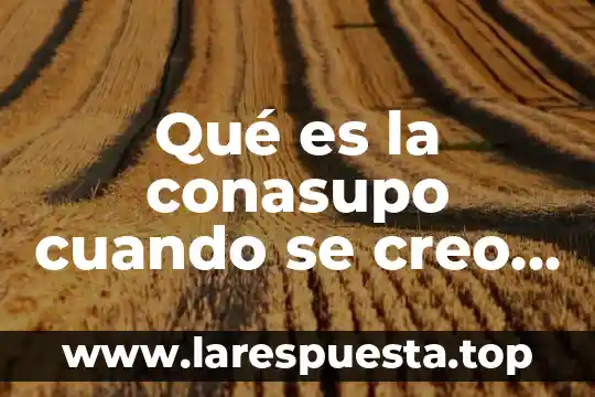 Qué es la conasupo cuando se creo artículos