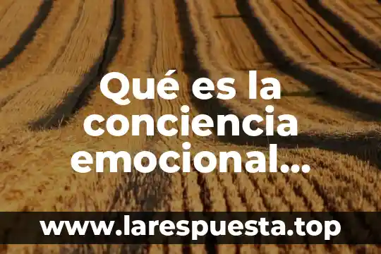 Qué es la conciencia emocional ejemplos
