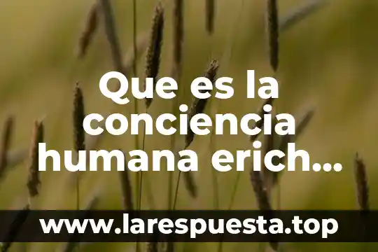 Que es la conciencia humana erich fromm