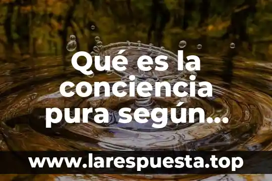 Qué es la conciencia pura según husserl
