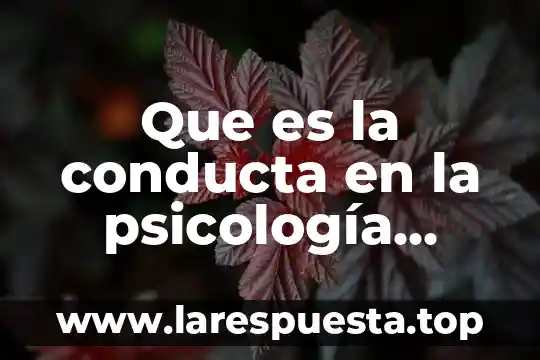 Que es un analisis funcional de la conducta 7 Que es la conducta en la psicología deportiva