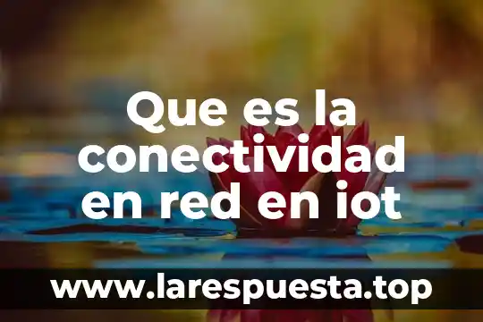 Que es la conectividad en red en iot