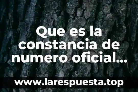 Que es la constancia de numero oficial nezahualcoyotl