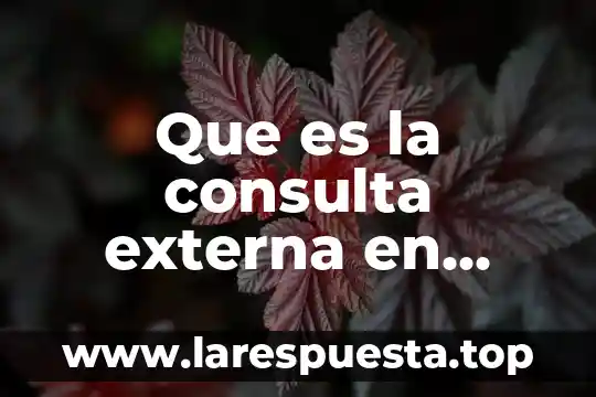 Que es una certificacion interna y externa 4 Que es la consulta externa en enfermeria