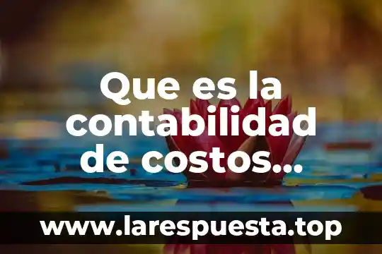 Que es una tarja en contabilidad 7 Que es la contabilidad de costos segun mintzberg