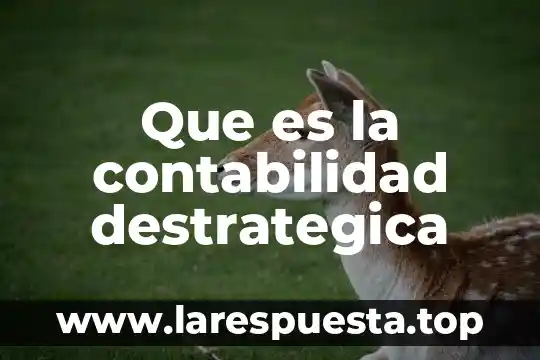 Que es la contabilidad destrategica