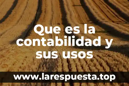 Que es la contabilidad y sus usos