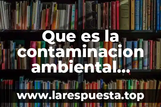 Que es la contaminacion ambiental planteamiento del problema
