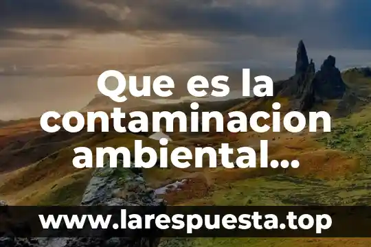 Que es la contaminacion ambiental suelo