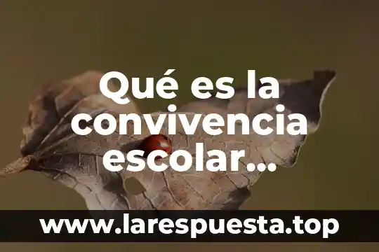 Que es una persona mas simple 5 Qué es la convivencia escolar definición para niños