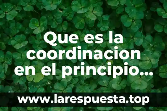 Que es organizacion de las empresas mercansistas 8 Que es la coordinacion en el principio de organizacion