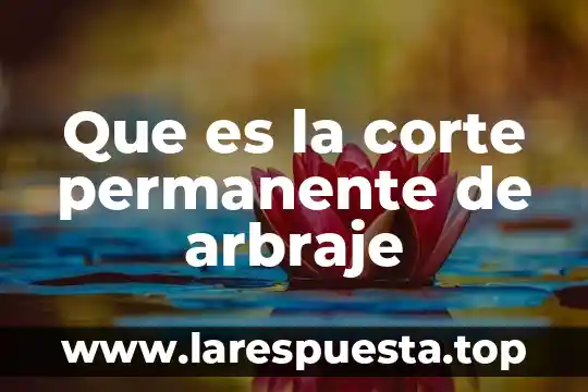 Que es la corte permanente de arbraje