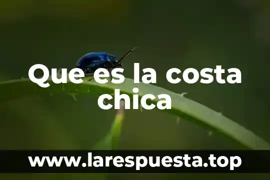 Que es la costa chica