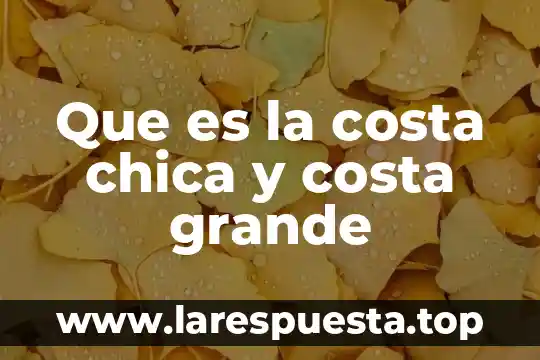 Que es la costa chica y costa grande