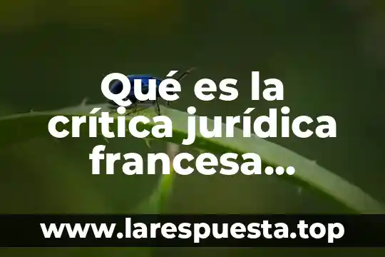 Qué es la crítica jurídica francesa concepto