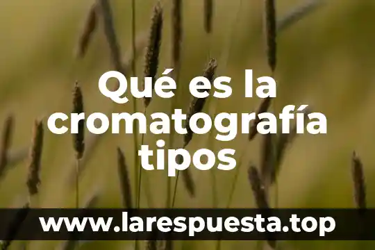 Qué es la cromatografía tipos
