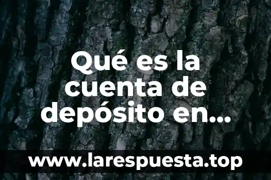 Qué es la cuenta de depósito en garantía