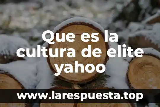 Que es el constitucionalismo social yahoo 7 Que es la cultura de elite yahoo